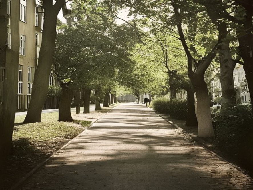 Grupp på lugn vandring genom Stockholm parkväg